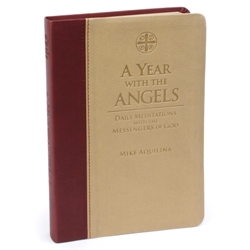 A Year with the Angels (imitation leather)
